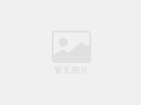 體育球場圍網(wǎng)的價格和選擇需綜合考慮多方面因素，以下是具體分析及建議：